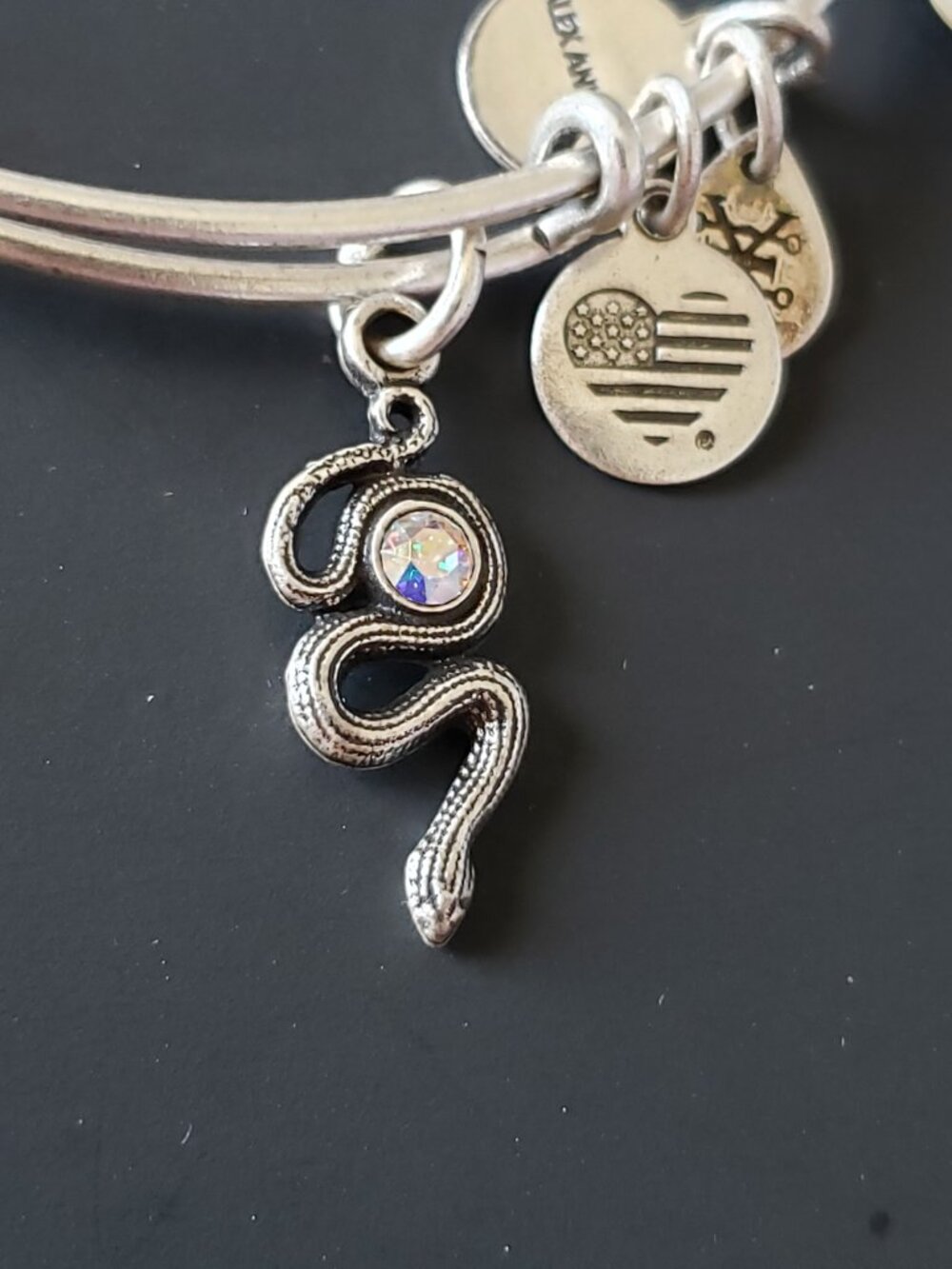 NWT Alex & Ani Snake with Crystal Bracelet Bangle 757